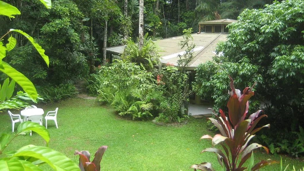 Daintree Deep Forest Lodge Cape Tribulation
