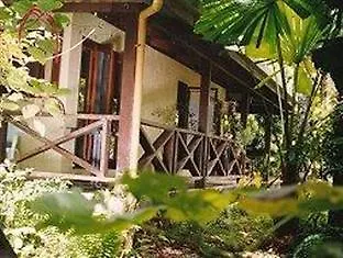 Daintree Deep Forest Lodge Cape Tribulation Australia